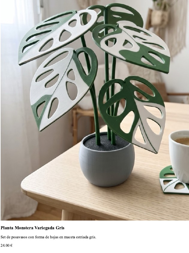 Planta Monstera Variegada Gris