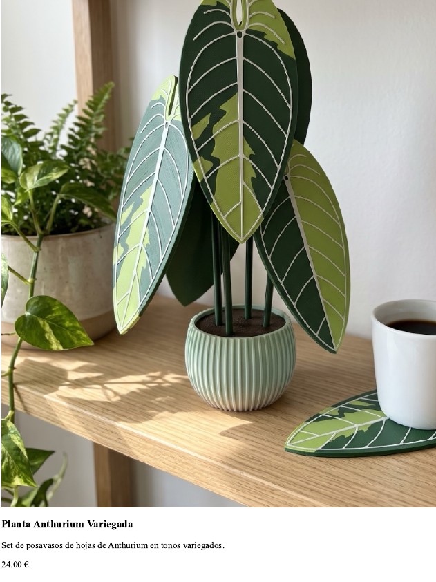 Planta Anthurium Variegada